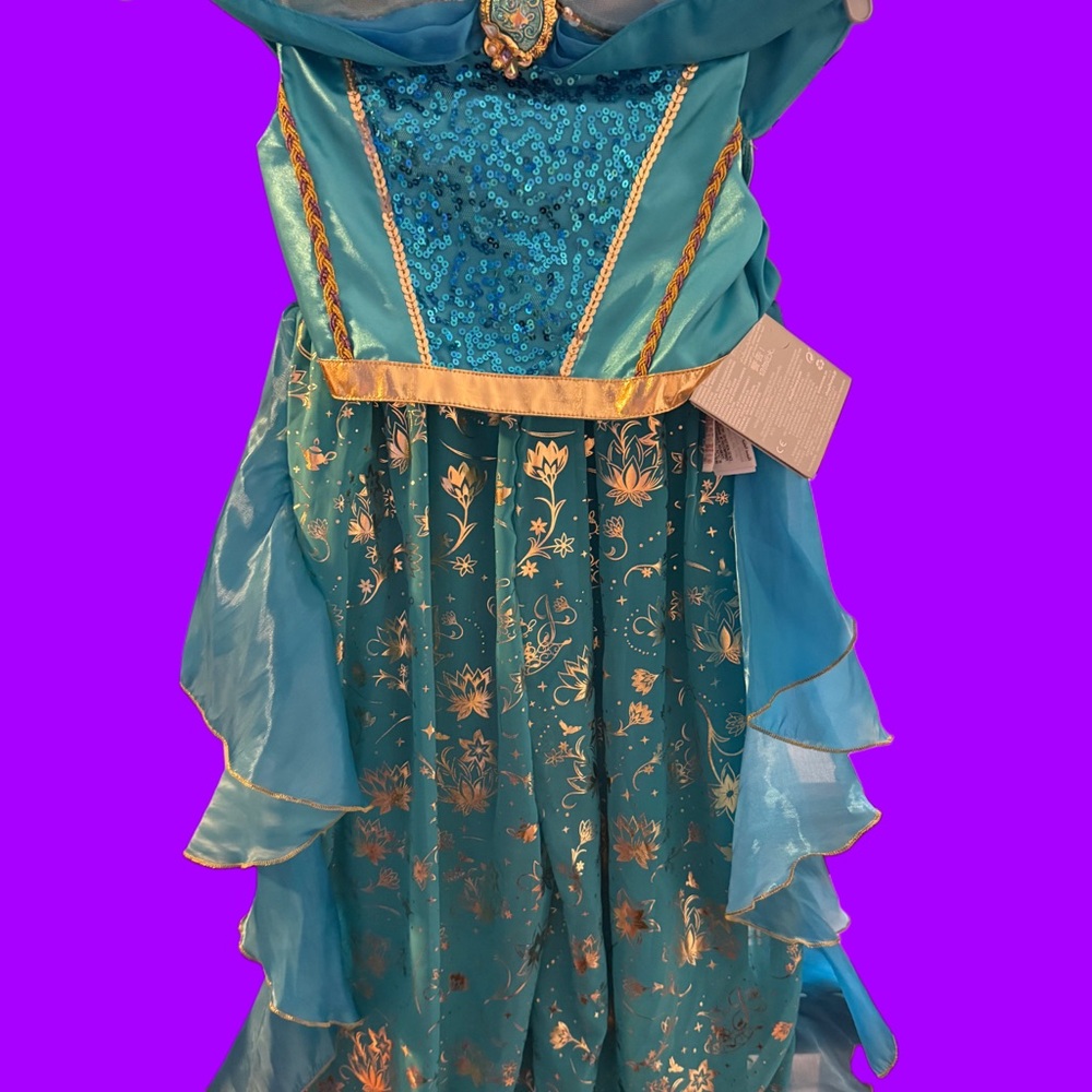 Disney Blue and Gold Halloween Costume Dress